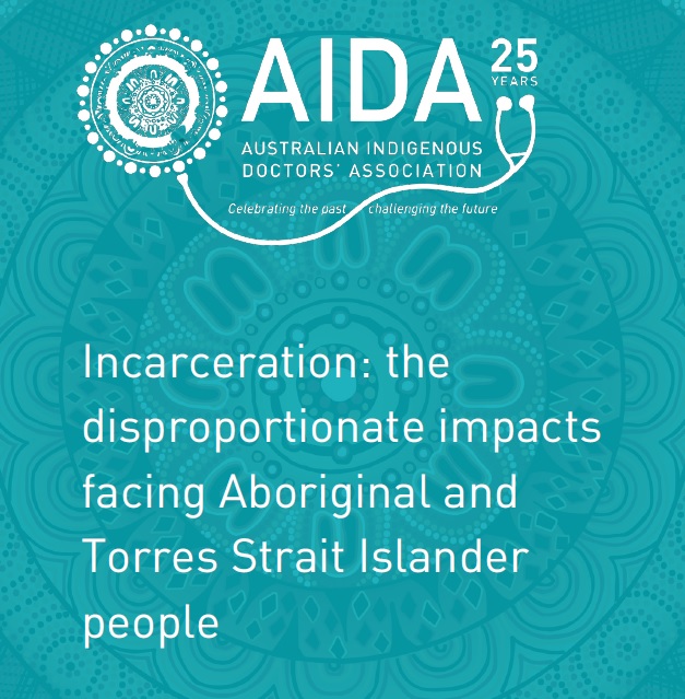 AIDA Policy Paper Incarceration The Disproportionate Impacts Facing