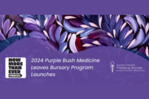 2024 Purple Bush Medicine Leaves Bursaries